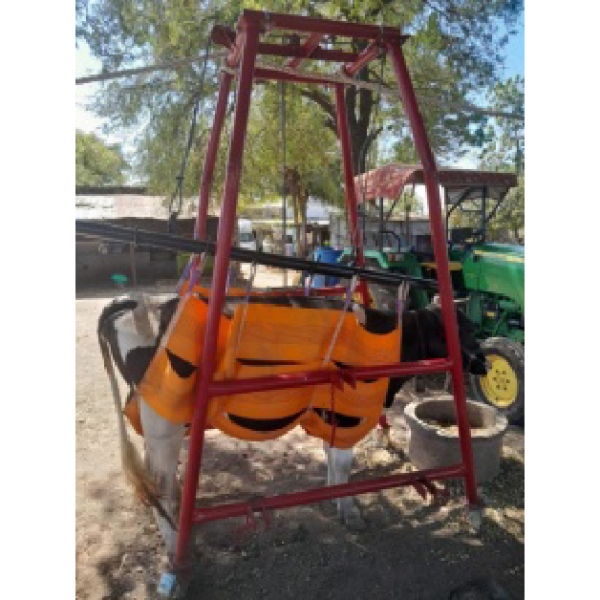 Product 4